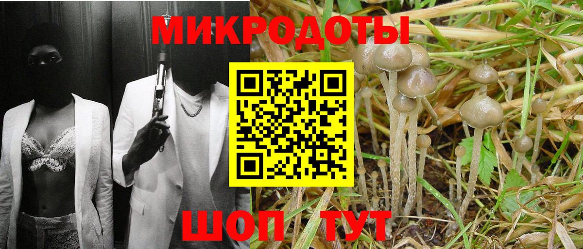 Псилоцибиновые грибы Cubensis Чусовой